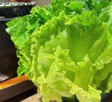 Lettuce
