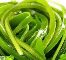 Kelp