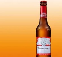 Budweiser Bottled