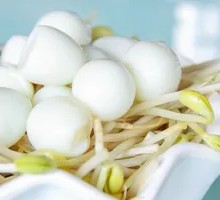 Quail Egg