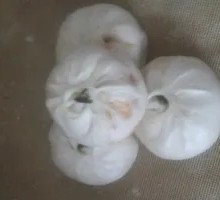 Bamboo Shoot Meat Dumplings