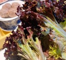 Organic Vegetables