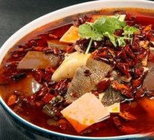 Premium Maoxuewang