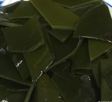 Kelp