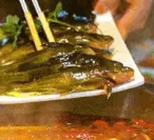 Yellow Croaker