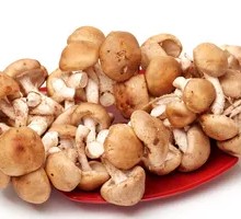 Shiitake Mushroom