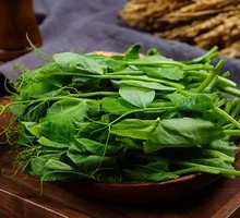 Pea Shoots