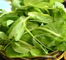 Pea Shoots