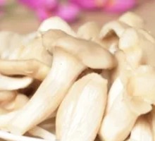 Enoki Mushroom