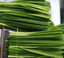 Leek