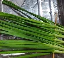 Leek