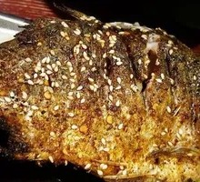 Crucian Carp