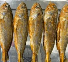 Large Yellow Croaker