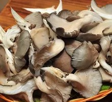 烤平菇串