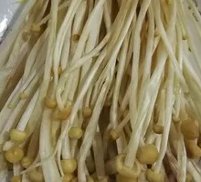 Enoki Mushroom