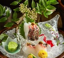 Red Seabream Sashimi