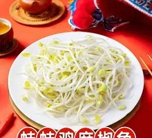 Premium Mung Bean Sprouts