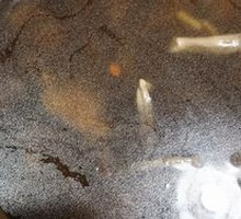 Mushroom Soup with Beef