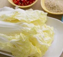 Napa cabbage