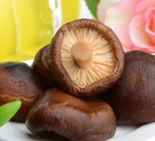 Shiitake Mushroom