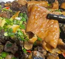 Pork Intestines