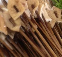Pork Intestines