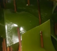 Wakame Sprouts