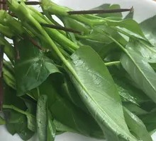 Water spinach