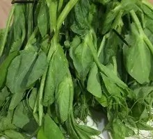 Pea Shoots