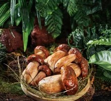 Delicious Chanterelle