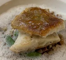 Greenland Halibut