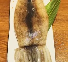 Argentine Squid