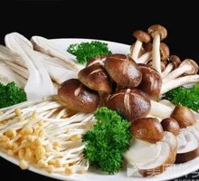 King Oyster Mushroom