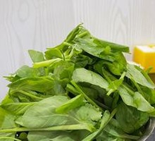Pea Shoots