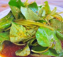 Mixed Houttuin Root Salad