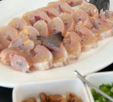 Sturgeon