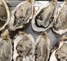 Garlic Milk Oyster