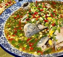 Crucian Carp