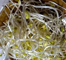 Bean sprouts