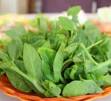 Pea Shoots