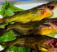 Yellow Croaker