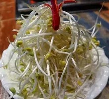Bean sprouts