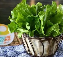 Lettuce leaf