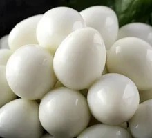 Quail Egg