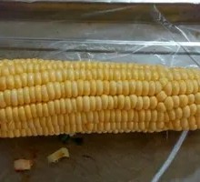 Corn Kernels