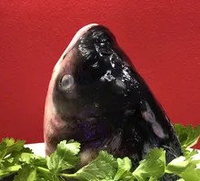 Fish Head