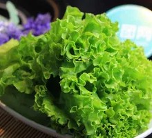 Lettuce