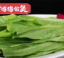 Oilseed lettuce