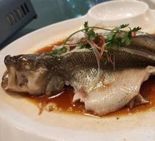Steamed Sea Bass