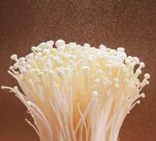 Enoki Mushroom